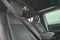 2023 Jeep Wrangler Sahara Altitude