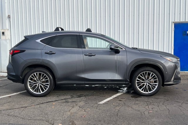 2022 Lexus NX NX 350h Luxury